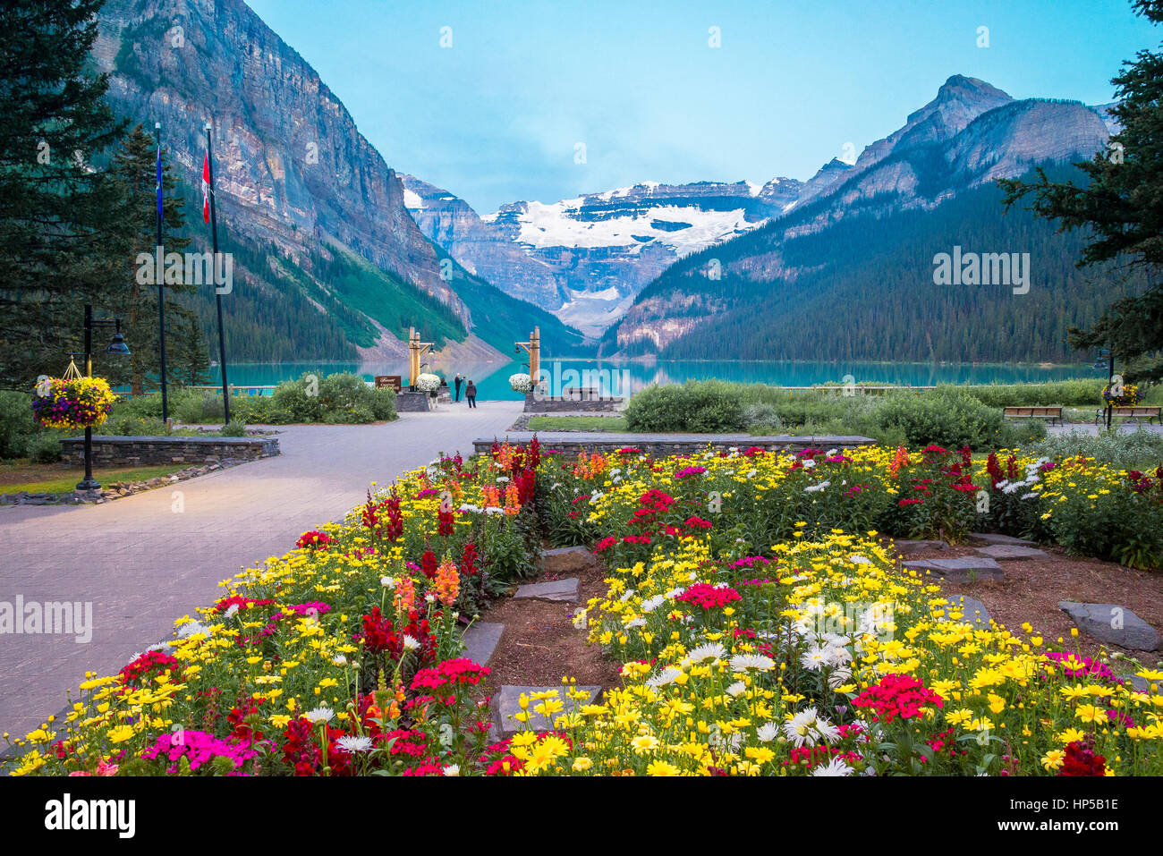 Garden flowers at Lake Louise, Banff National Park, Alberta, Canada