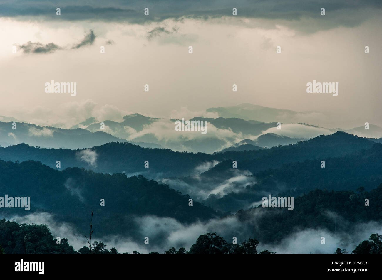 Misty summer mountain hills landscape Stock Photo - Alamy