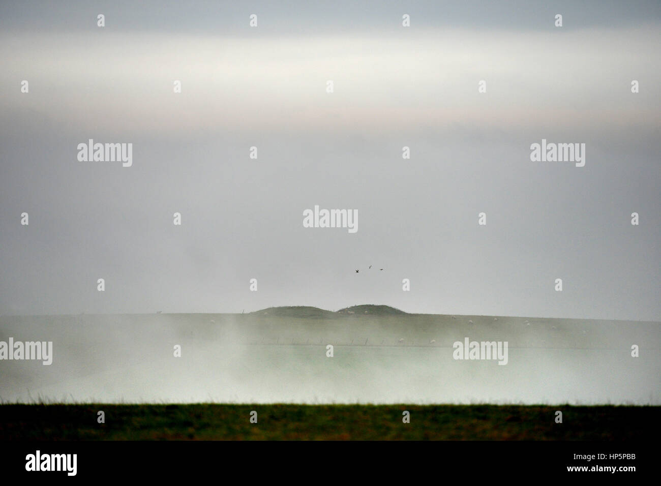 South Downs National Park, East Sussex. 19th February 2017. Morning mist surrounds two ancient burial mounds, known locally as Lords Burghs, near Firle in South Downs national park in East Sussex as moist tropical air reaches Britain. © Peter Cripps/Alamy Live News Stock Photo