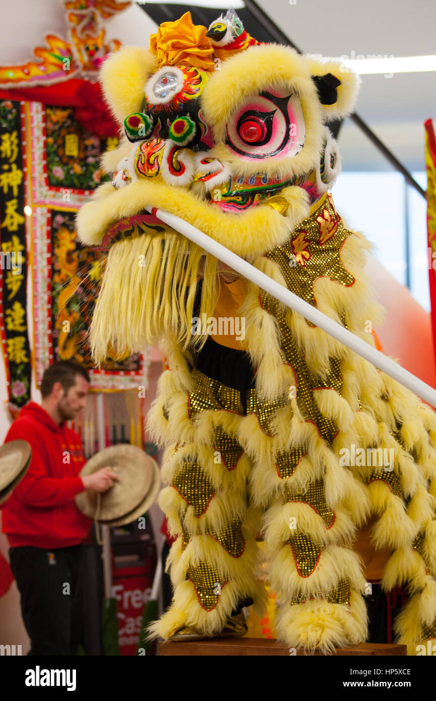 Birmingham, UK. 19th Feb, 2017. Five UK Lion Dance teams competing to