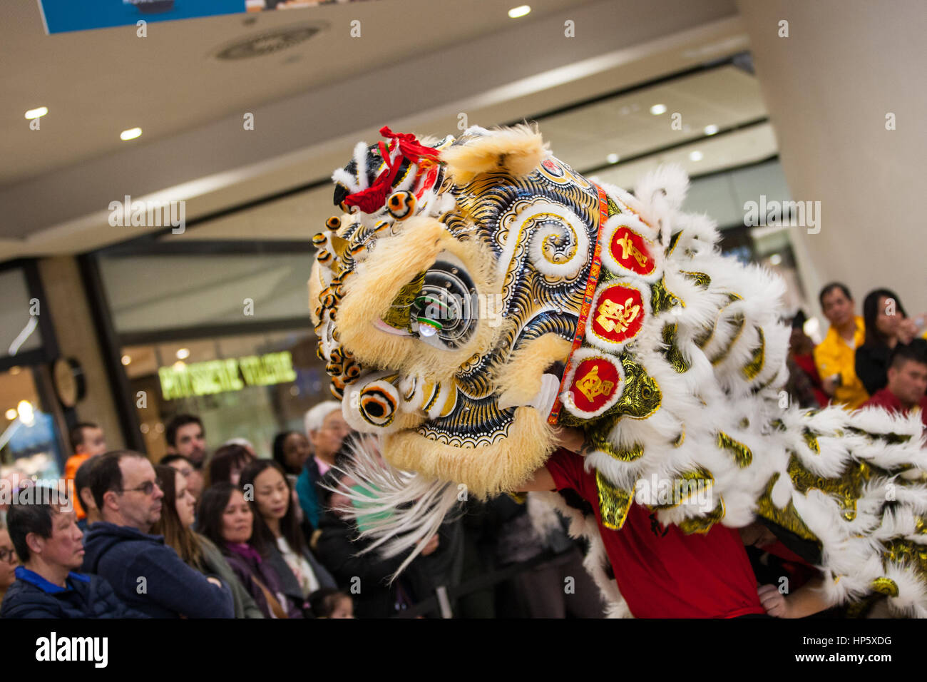 Birmingham, UK. 19th Feb, 2017. Five UK Lion Dance teams competing to