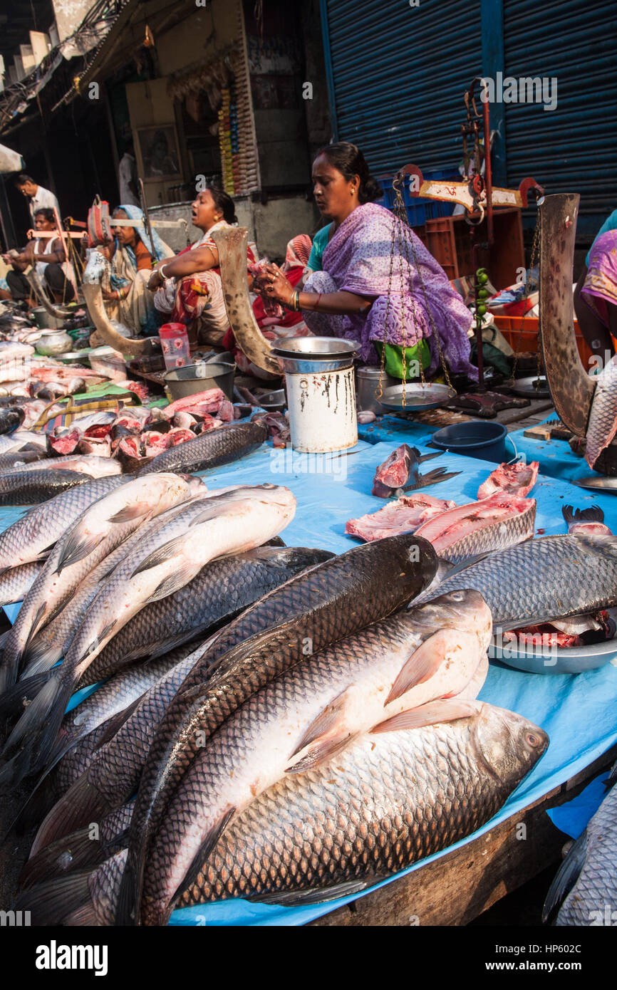 Fish market of calcutta hires stock photography and images Alamy