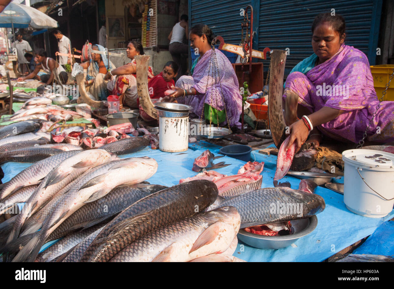 Fish,market,stall,shop,outside Hogg,Market,Kolkata,Calcutta,West Bengal,West,Bengal,India,Indian,Asia,Asian, Stock Photo
