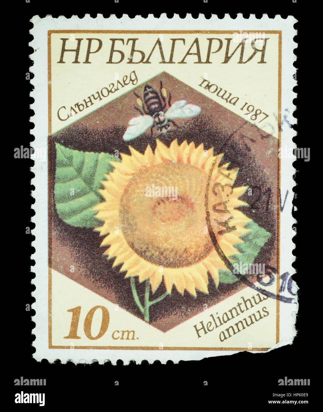 Paper vintage postage botany hi-res stock photography and images - Alamy