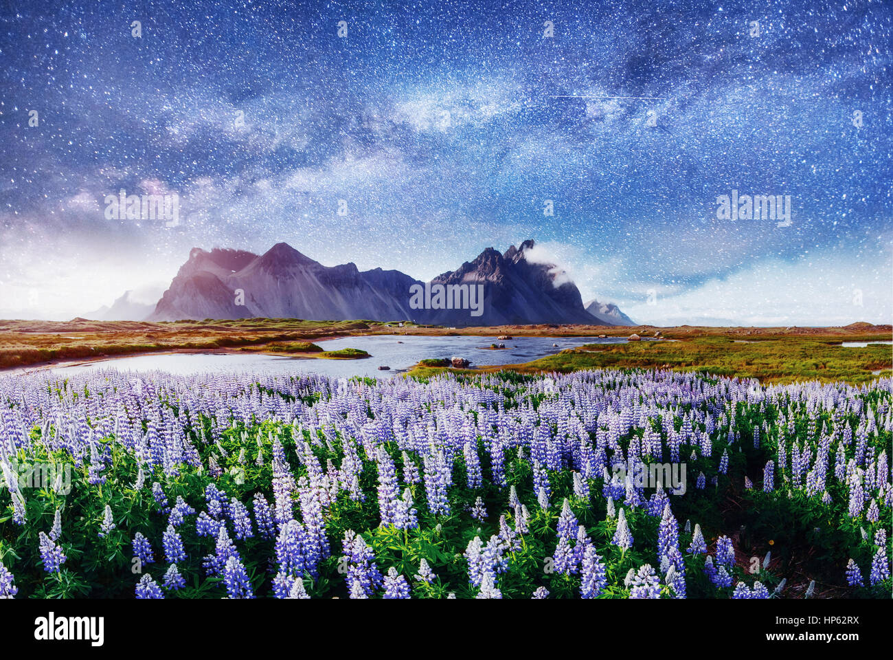 The picturesque landscapes of forests and mountains  Iceland.  Stock Photo