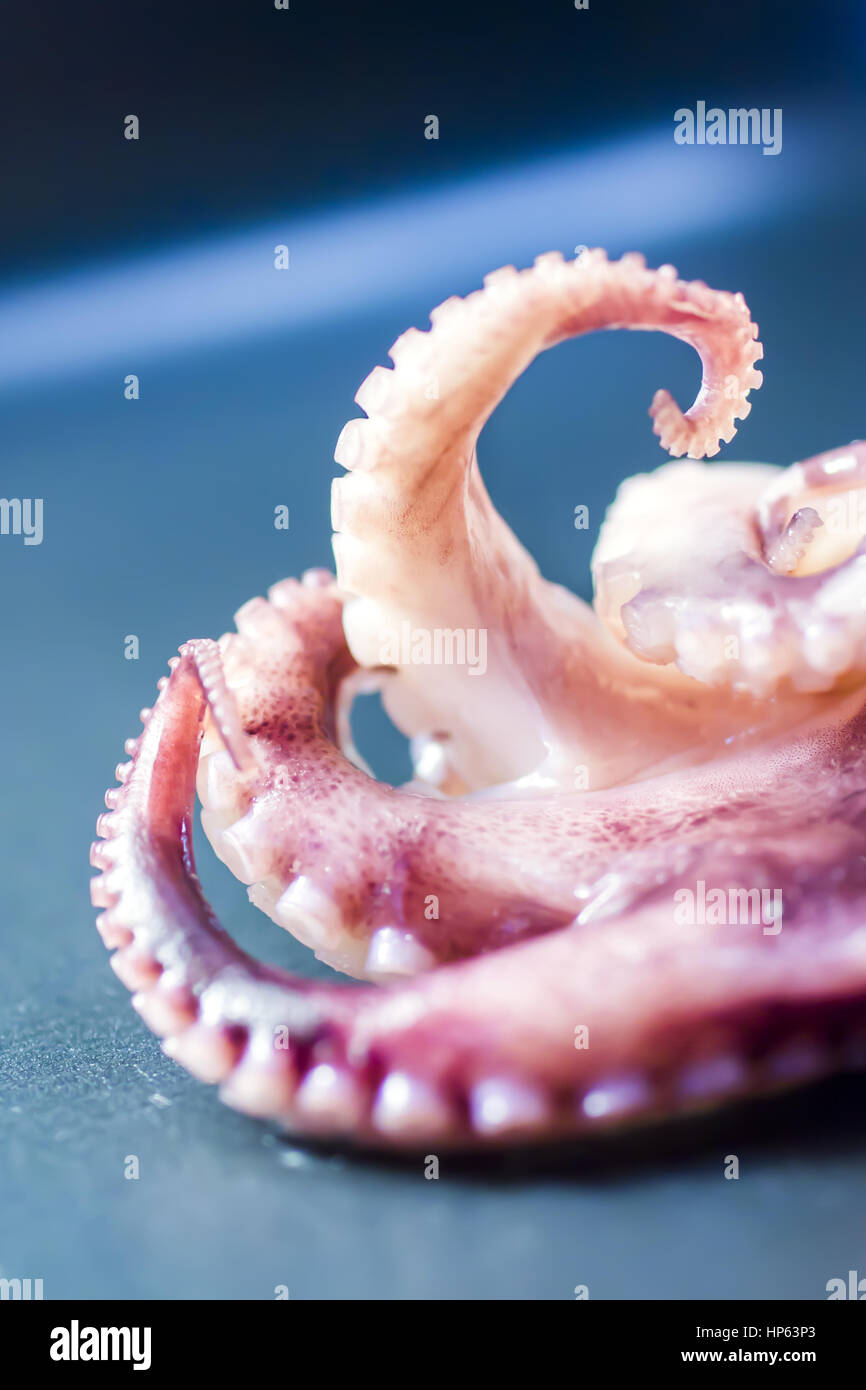 baby sea octopus with tentacles Stock Photo Alamy