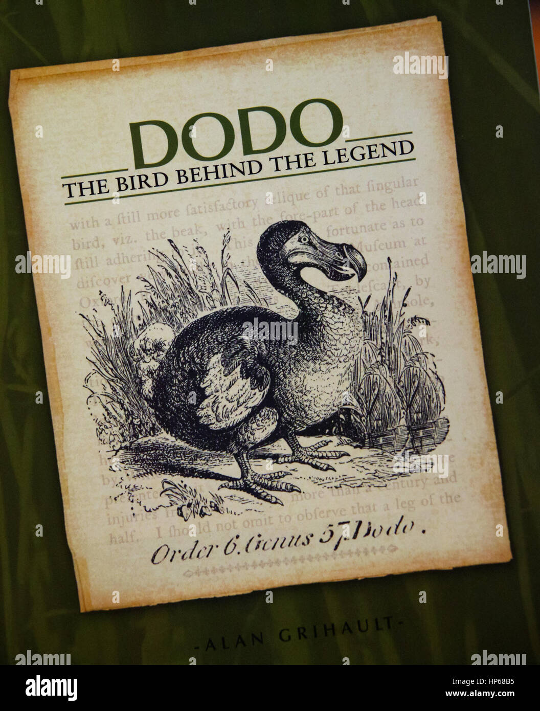 Book over Legend Dodo, Caudan Waterfront in the Port of the Port Louis Port, Souvenir., Mauritius, Port Louis, Caudan Waterfront, souvenir Stock Photo