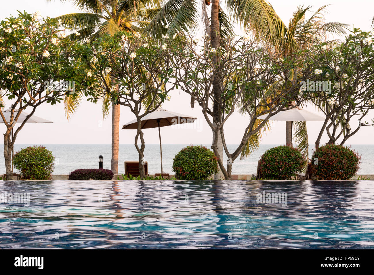 Coconut Tree And Chair Around Outdoor Swimming Pool In Hotel