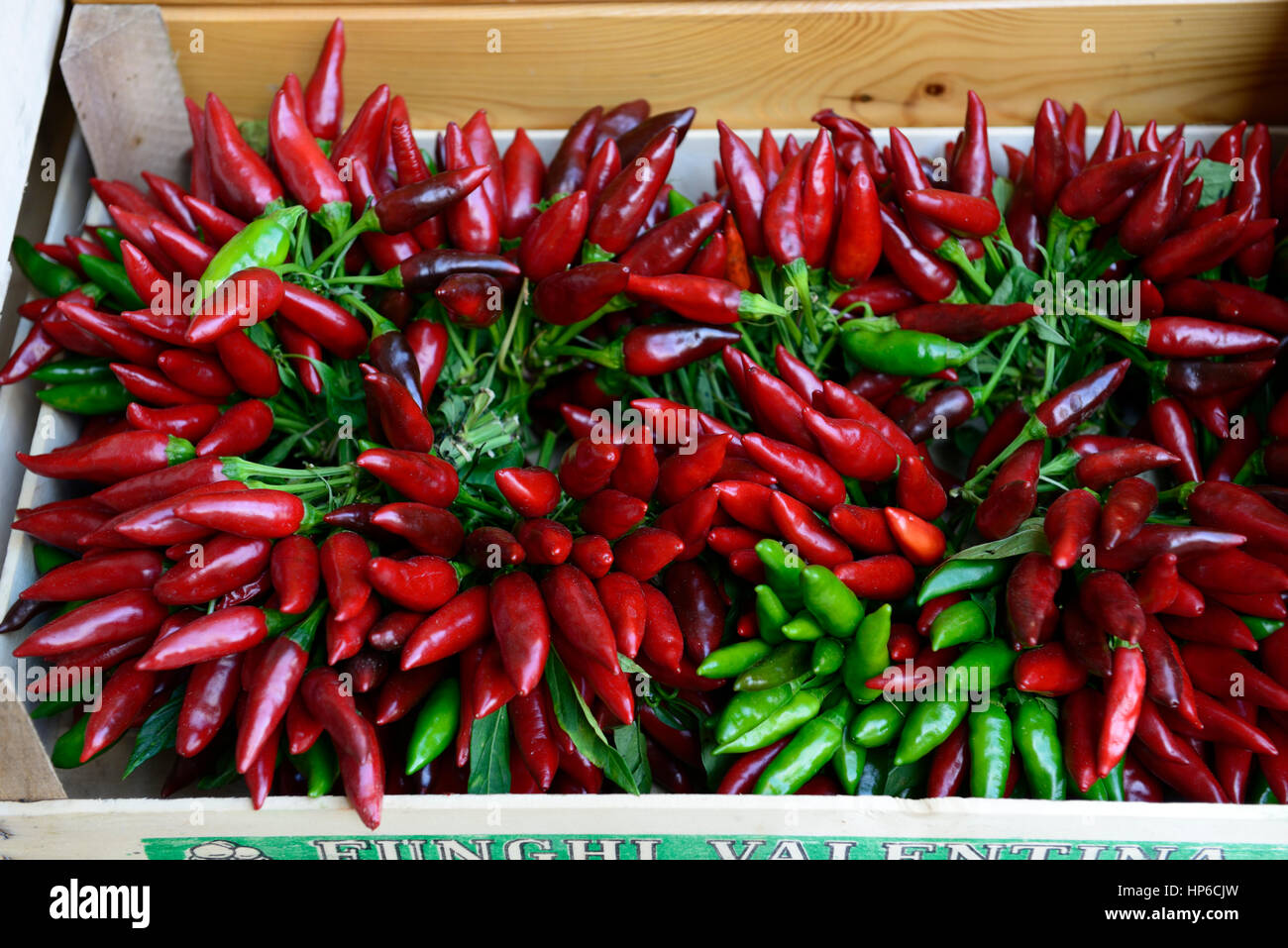 bouquet di peperoncini, Bouquet di piccoli peperoncini rossi, red chilli peppers, hot spice, whole, peppers, pisa market, tuscan produce, tuscany, foo Stock Photo