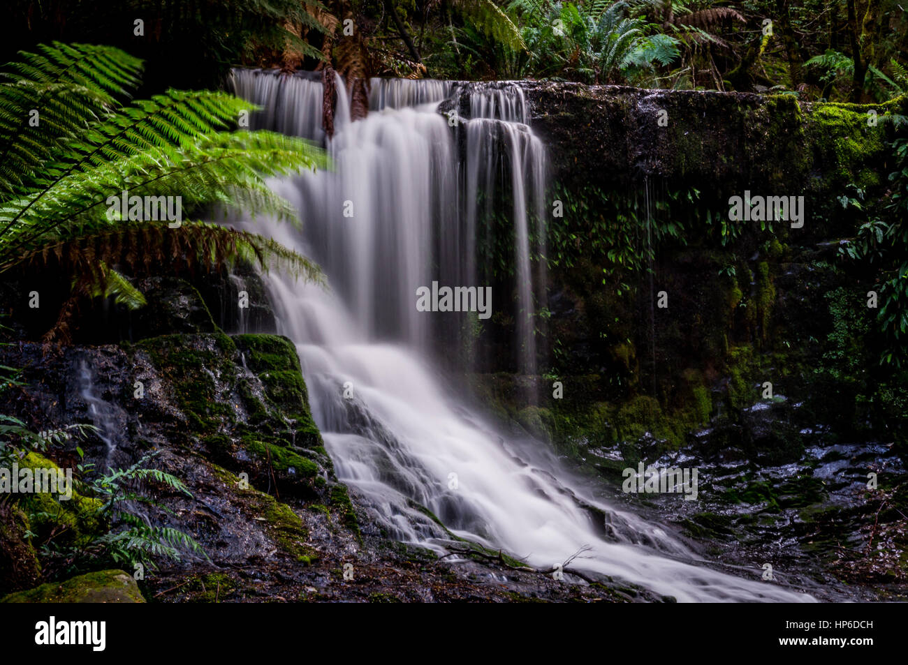Mt field national park hires stock photography and images Alamy