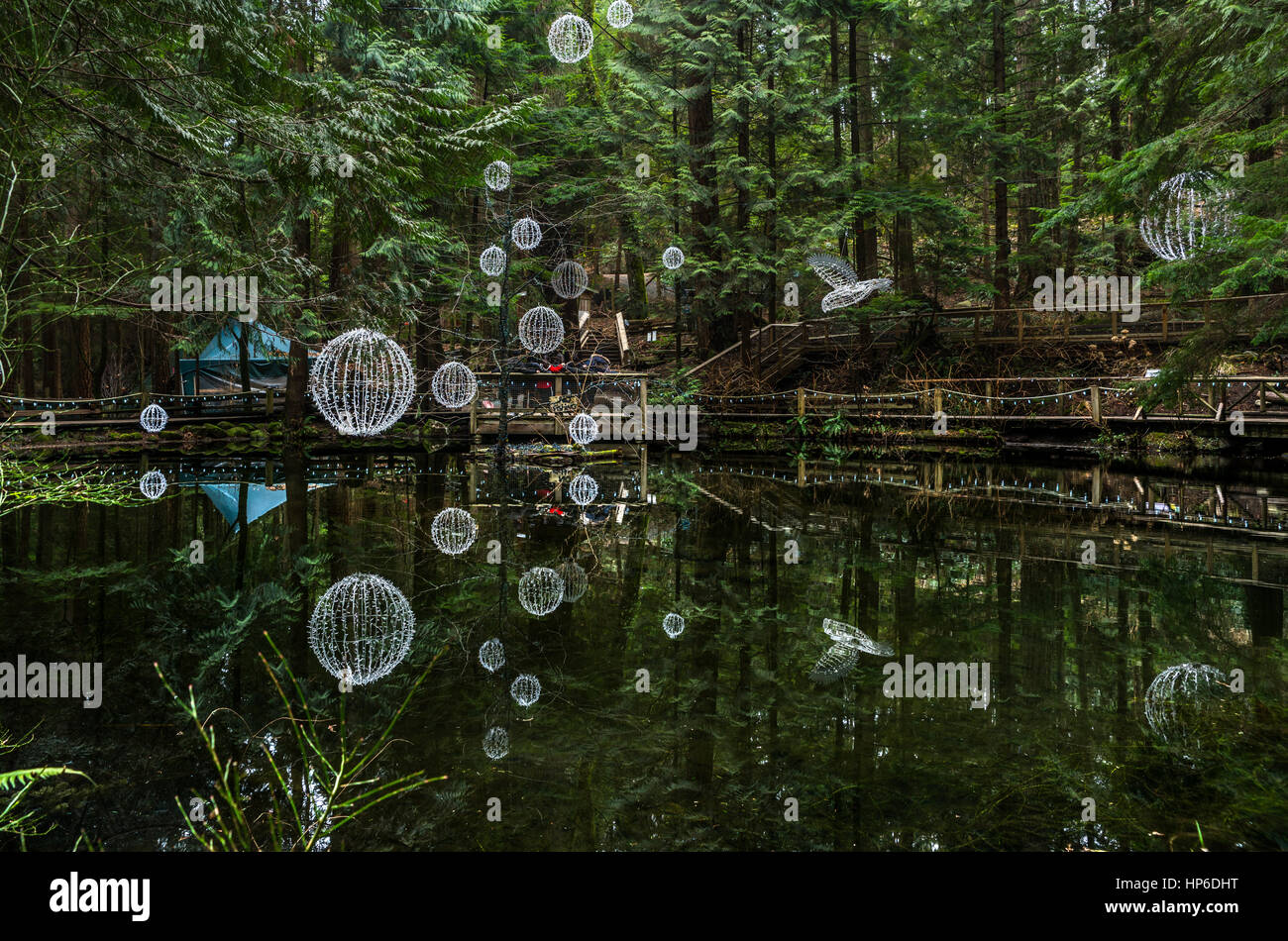 A pond with hanging lights reflected in the water at the Capilano Suspension Bridge Park in Vancouver, Canada Stock Photo
