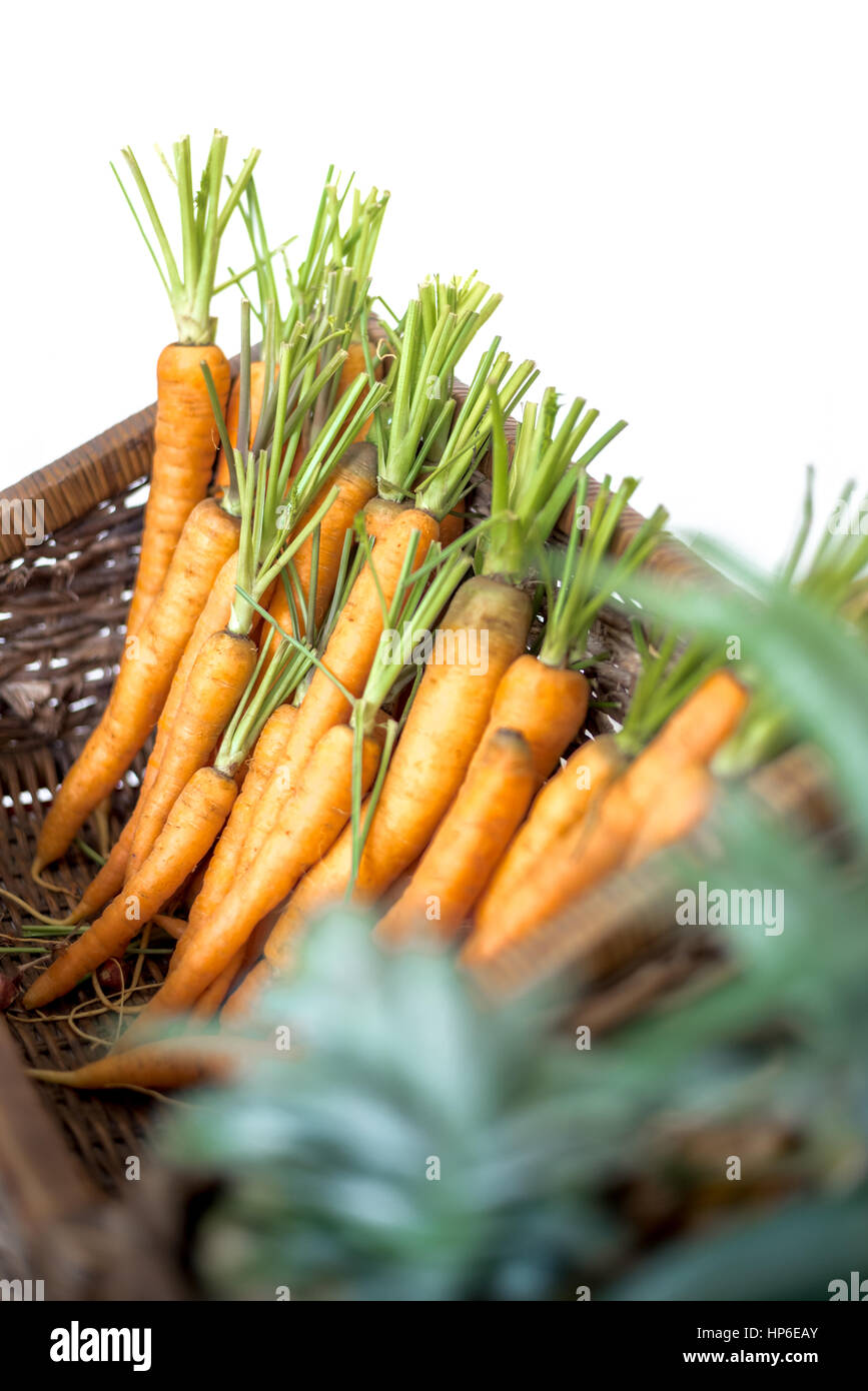 Carrots inside a rattan basket. Stock Photo