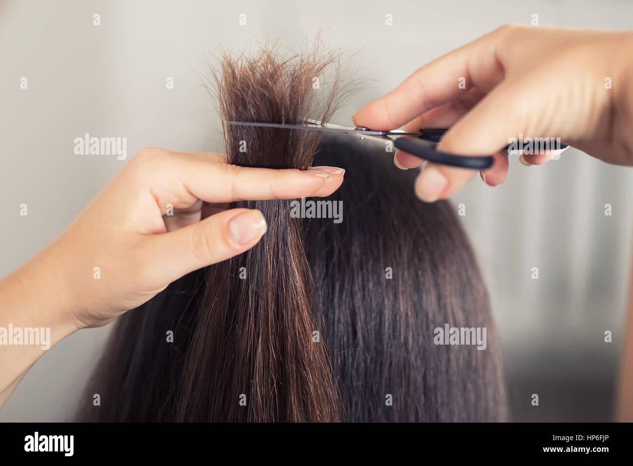 Hairdresser Trimming Brown Hair With Scissors Hairdresser Do