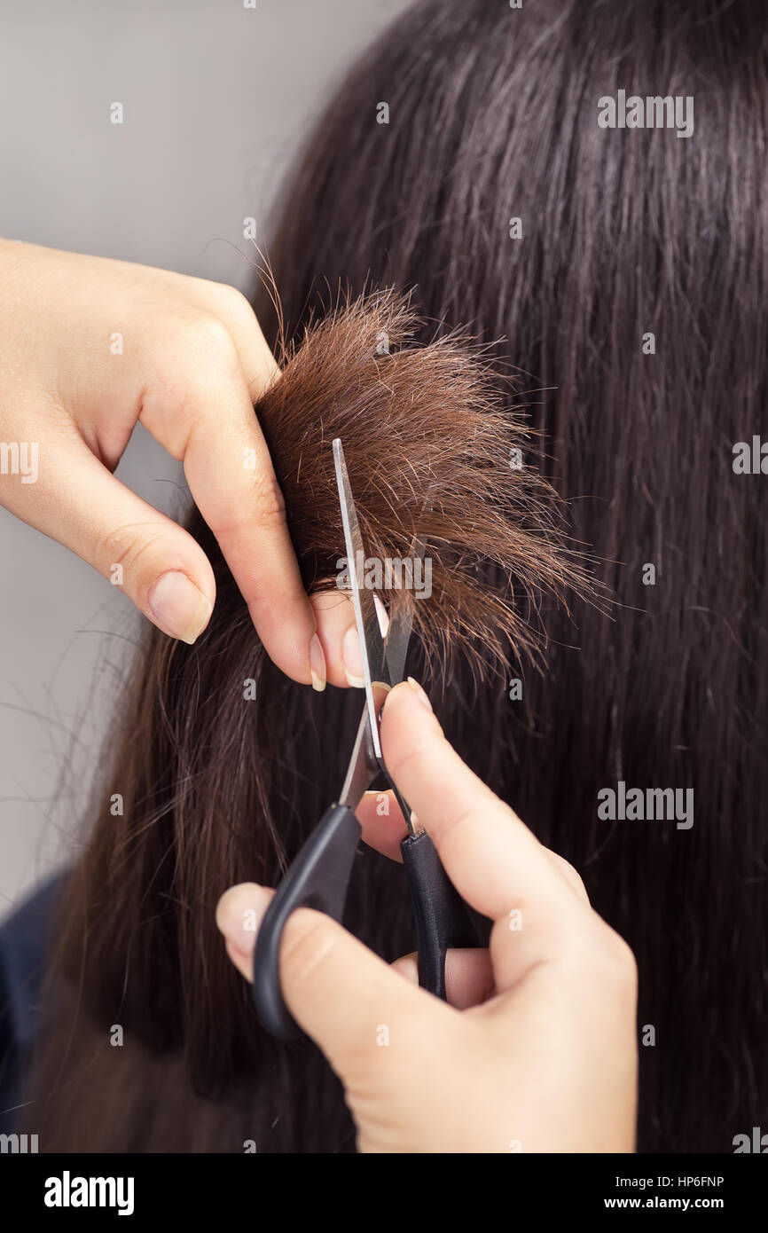 Hairdresser trimming brown hair with scissors. Hairdresser do haircut closeup. Women's haircut. hairdresser, beauty salon. Getting rid of those split  Stock Photo