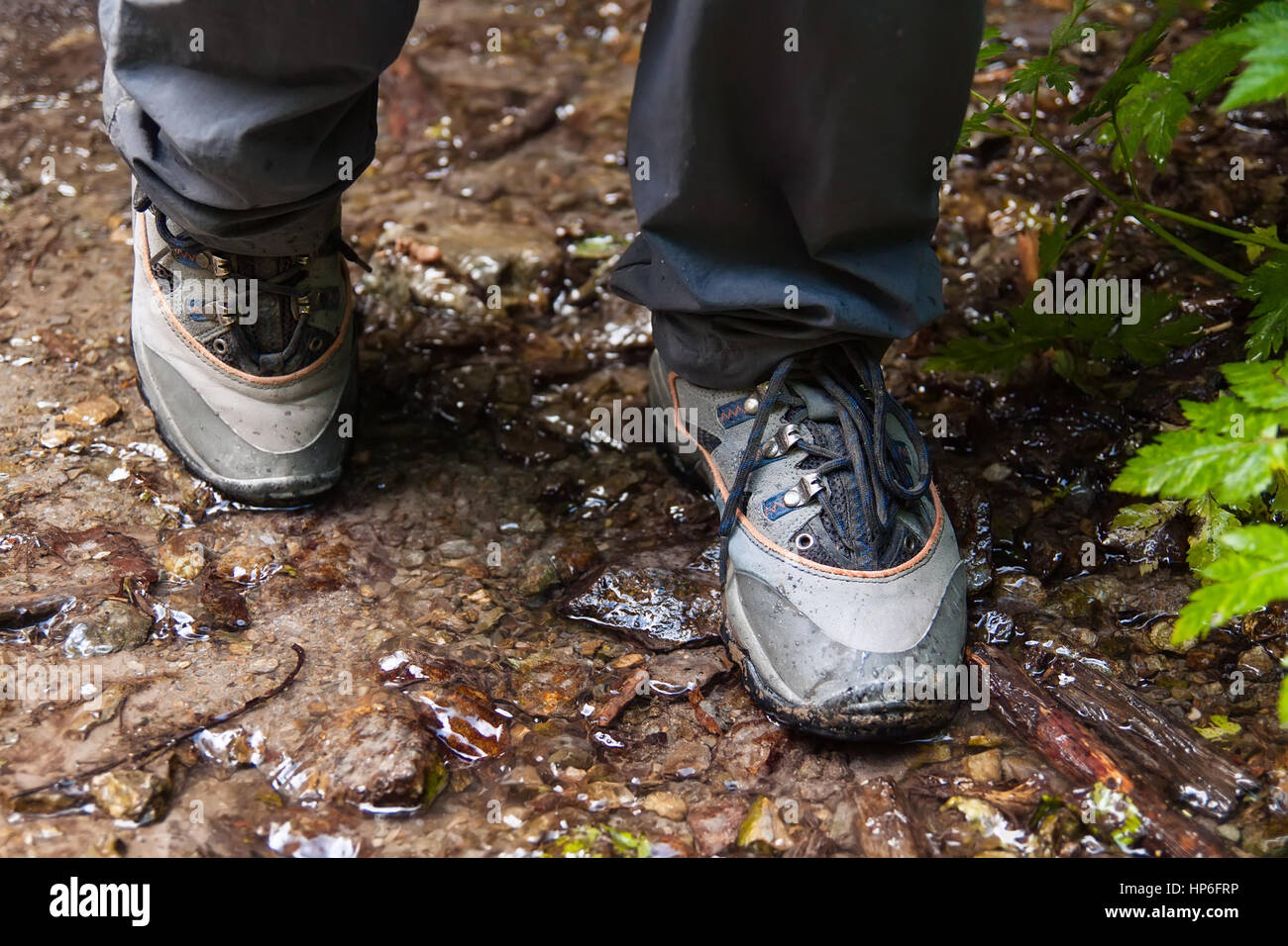 Hiking shoes on hiker outdoors walking crossing river creek. Woman on hike trekking in nature. Closeup of female hiking shoes in action. Trekking shoe Stock Photo