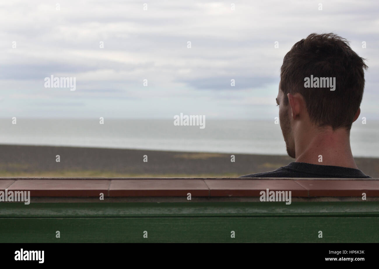 Man sitting looking the sea, rear view, in Napier Stock Photo - Alamy