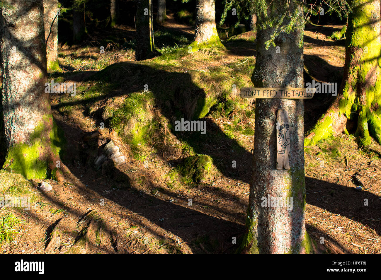 Tree with the sign DONT FEED THE TROLLS in the park in Norway Bergen Stock Photo