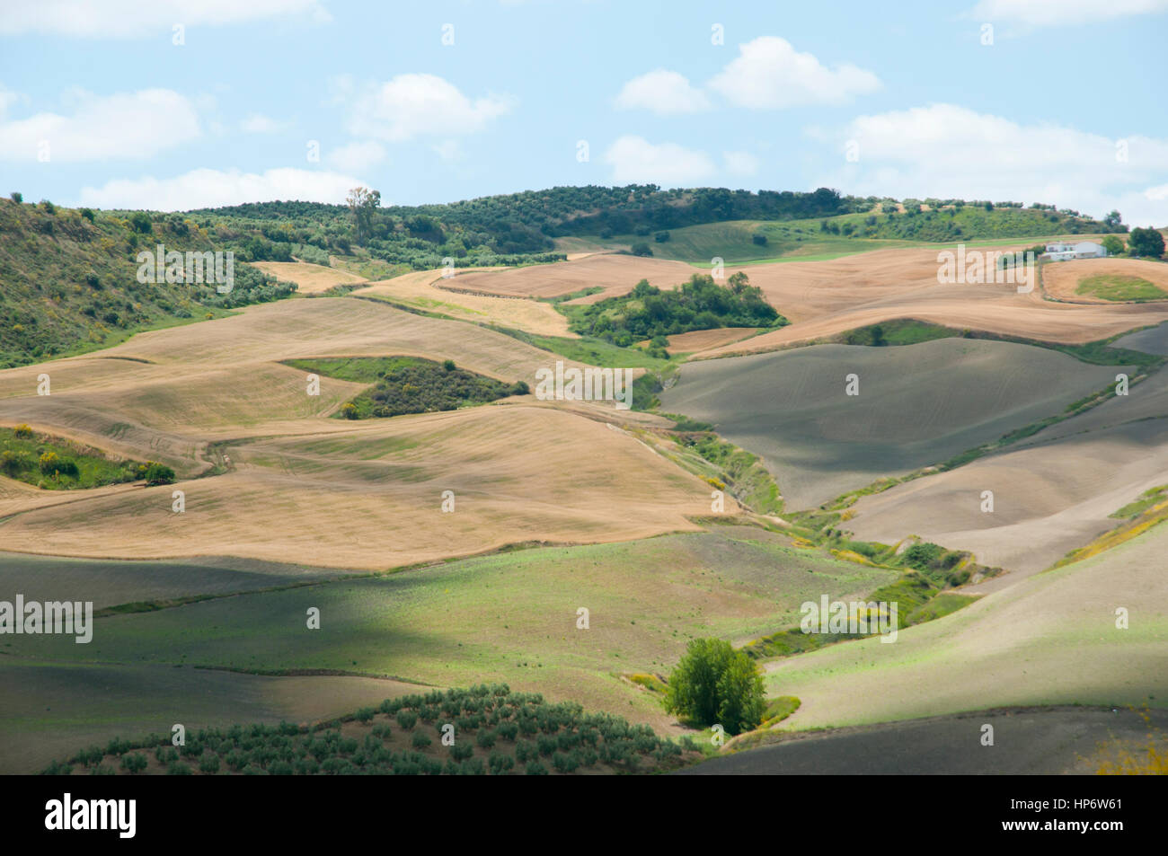 Farming Fields Spain Stock Photo Alamy