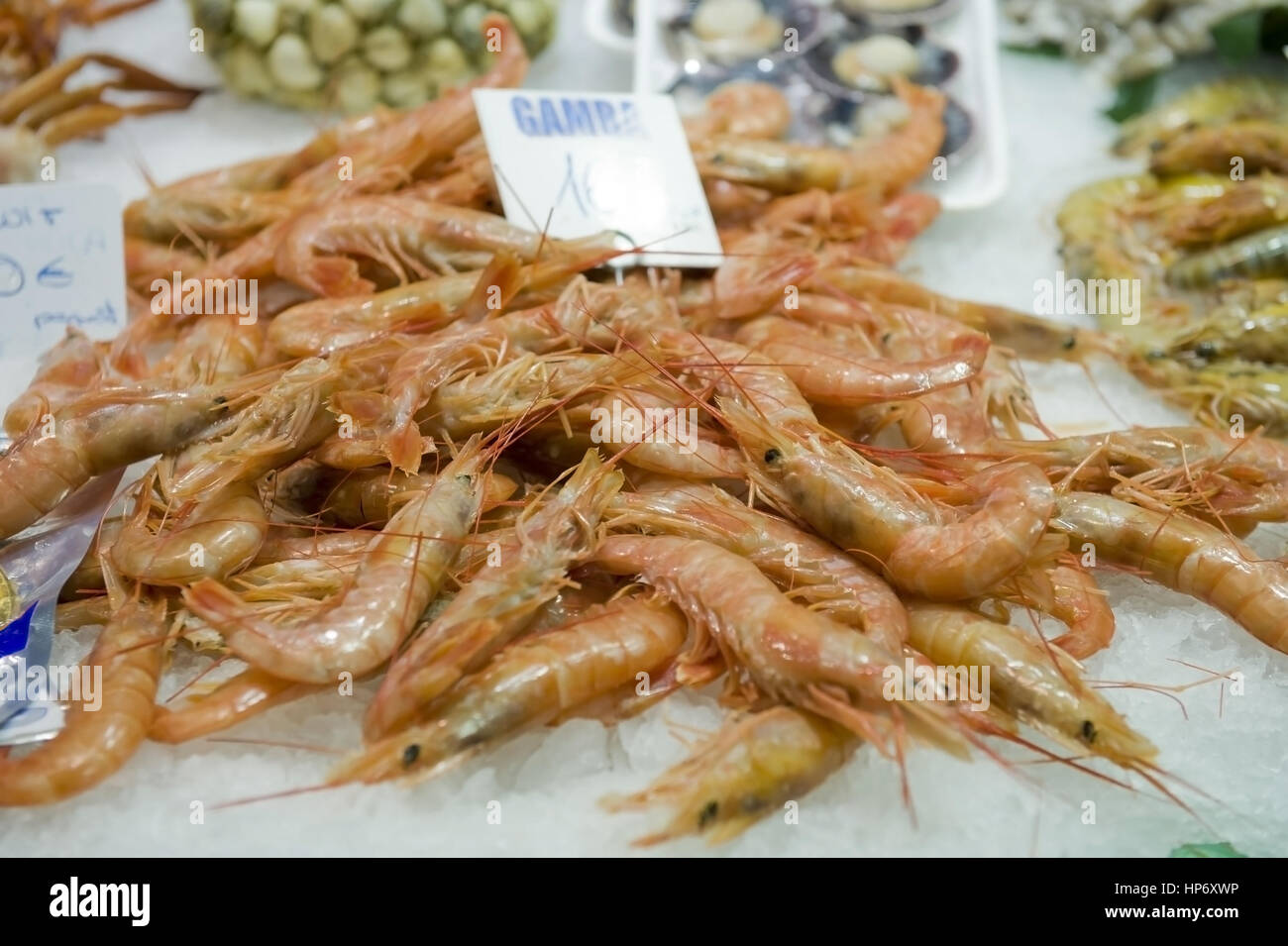 Garnelen, Fischmarkt, Barcelona, Spanien - fish market, Barcelona, Spain Stock Photo