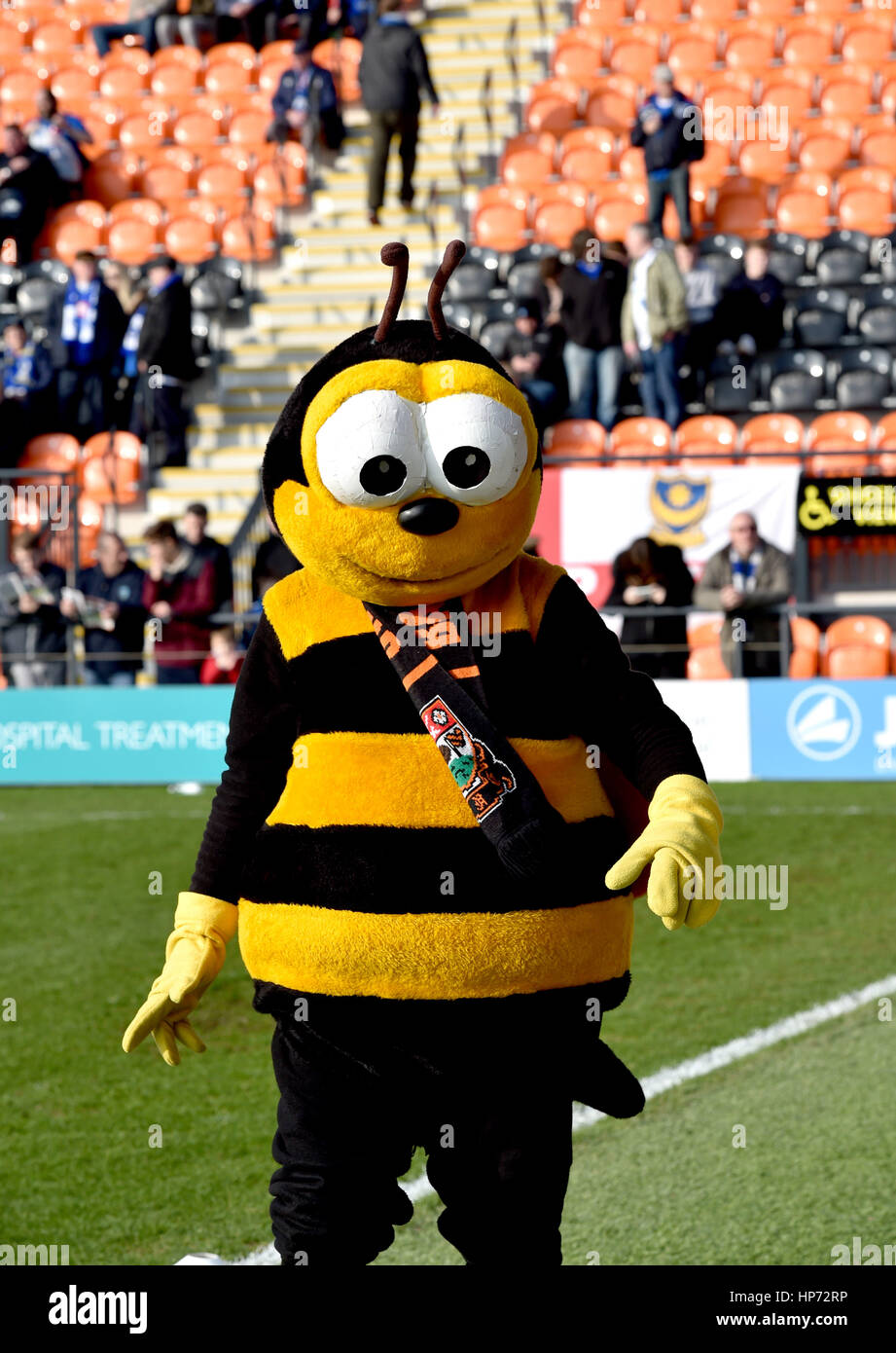 The Barnet Bee mascot during the Sky Bet League 2 match between Barnet and Portsmouth at The Hive Stadium in London. February 18, 2017. - Editorial use only. No merchandising. For Football images FA and Premier League restrictions apply inc. no internet/mobile usage without FAPL license - for details contact Football Dataco Stock Photo