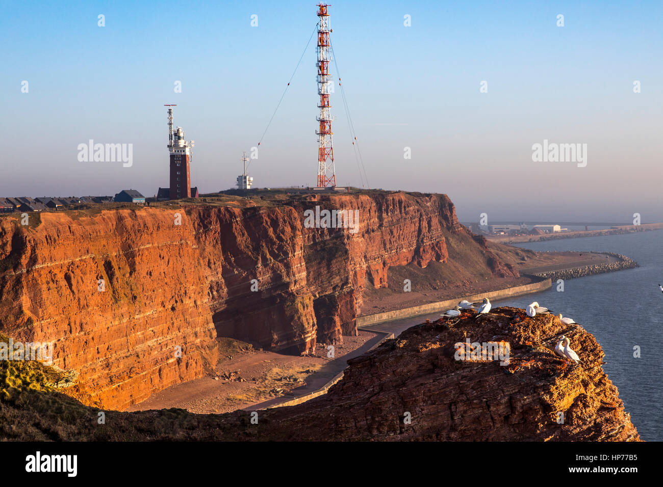 The red steep coast line of Helgoland, an German Island in the North Sea, lighthouse and radio-relay system antenna mast, birds colony on the rocks, N Stock Photo