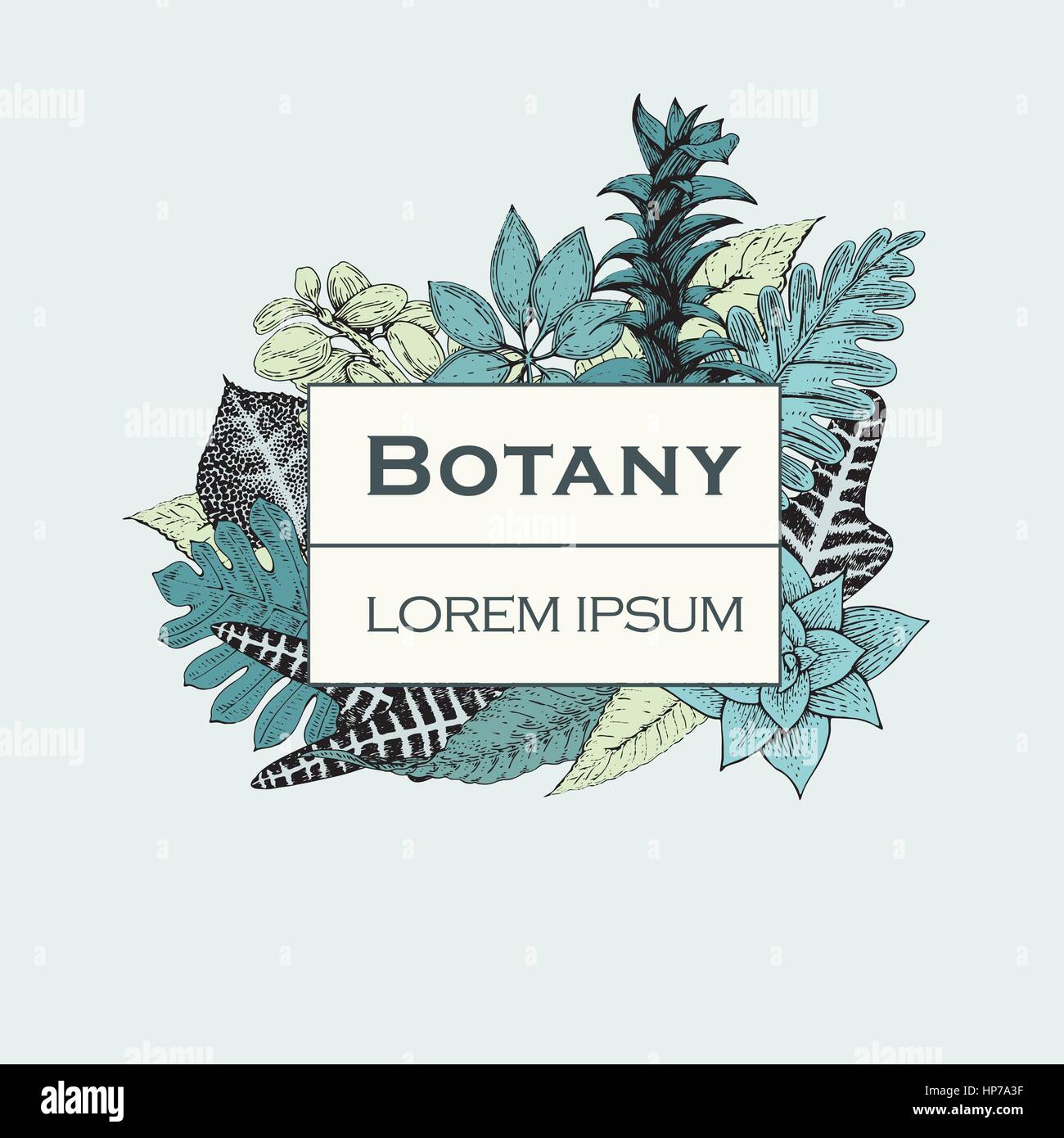 Hand drawn vector botany illustration. Vintage background with exotic