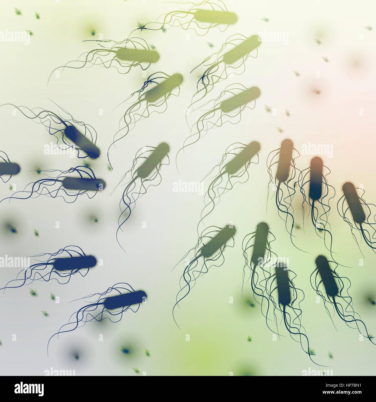 Group of E. coli Bacteria - Vector Illustration Stock Vector