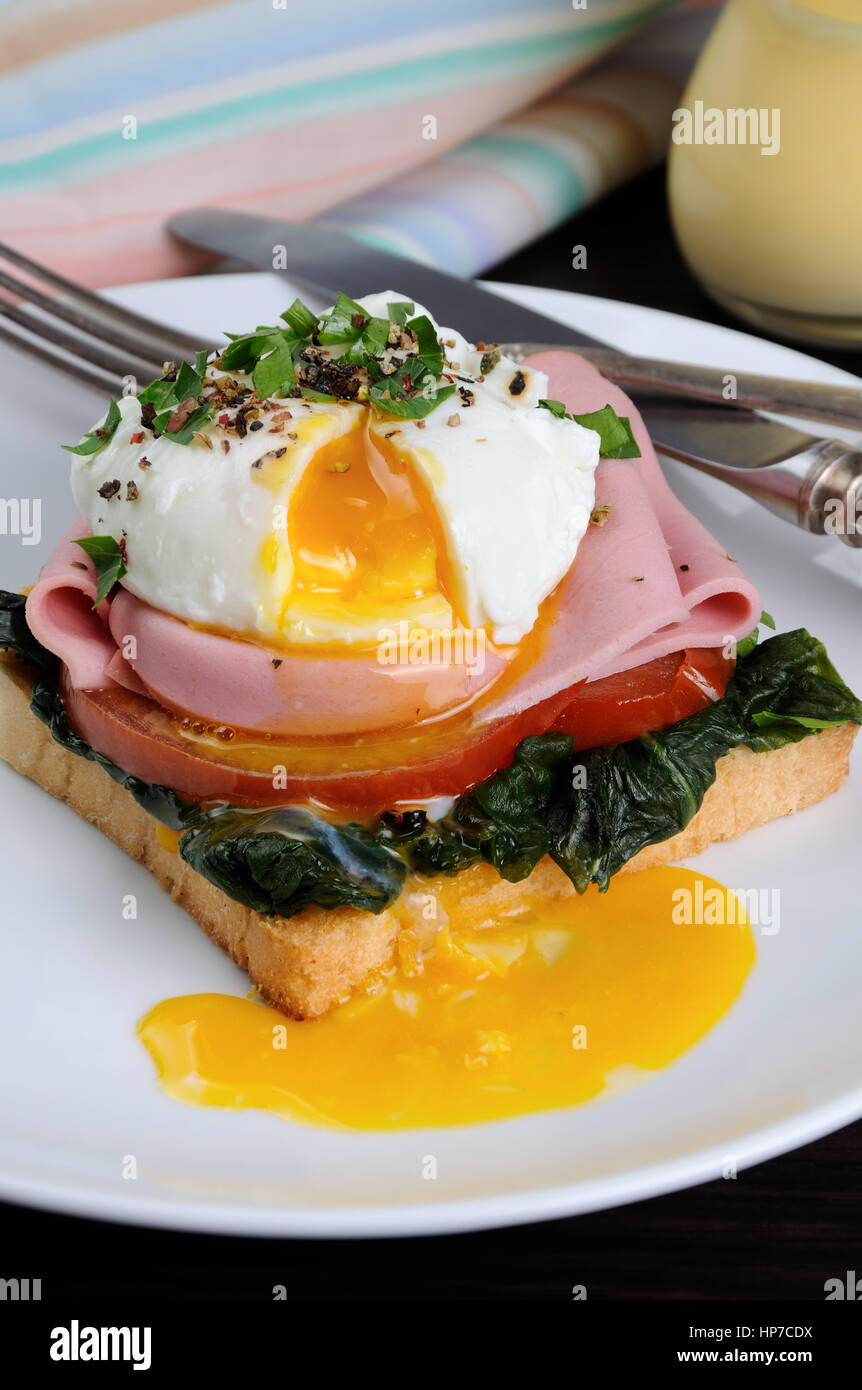 Poached eggs on toast with tomato, ham, spinach, spices and herbs Stock