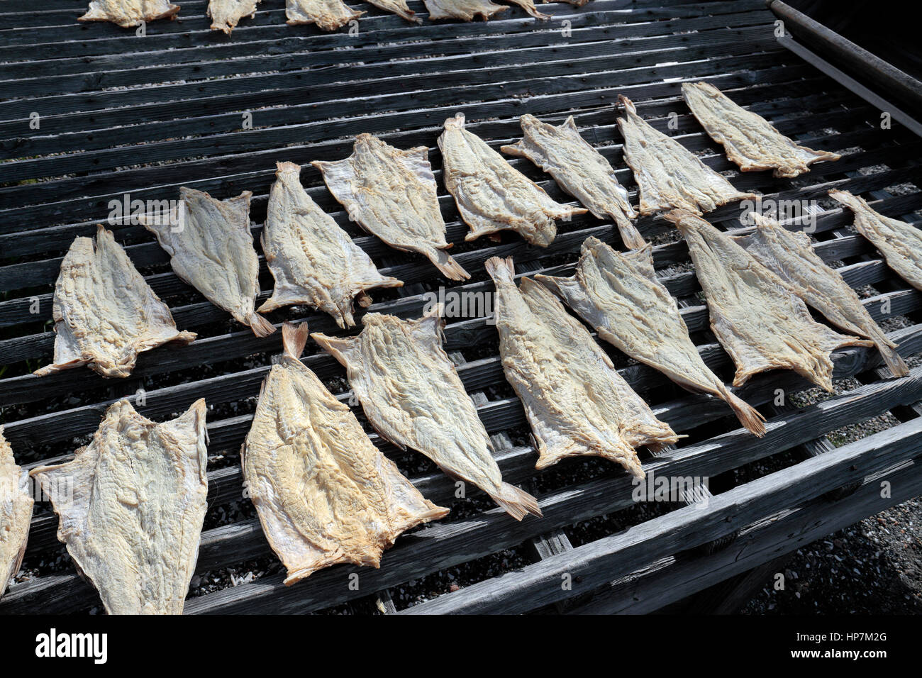 "Fish flakes", drying fish on wooden frames in Mystic Seaport in Mystic