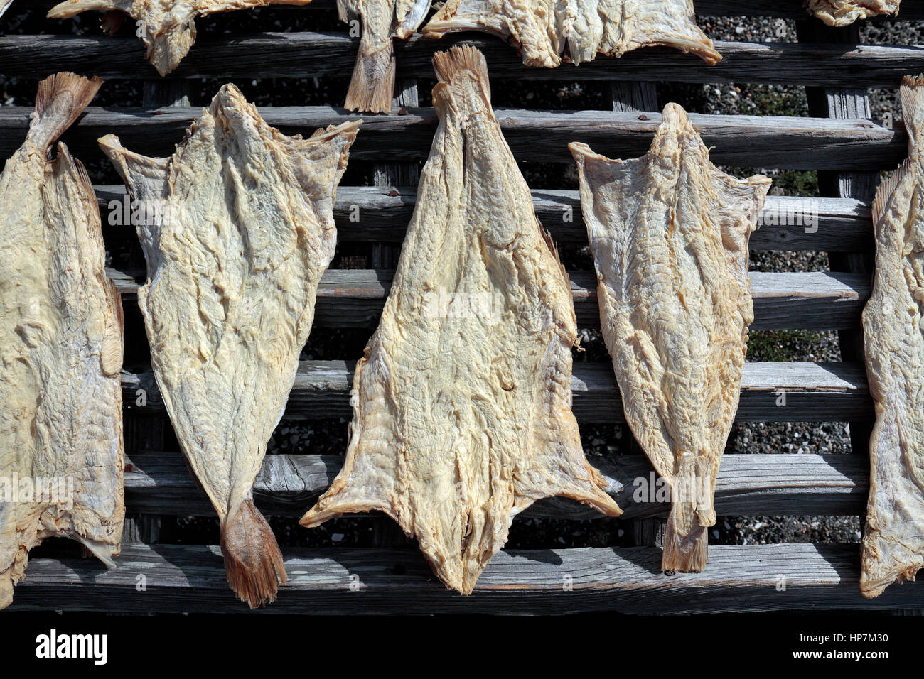 "Fish flakes", drying fish on wooden frames in Mystic Seaport in Mystic