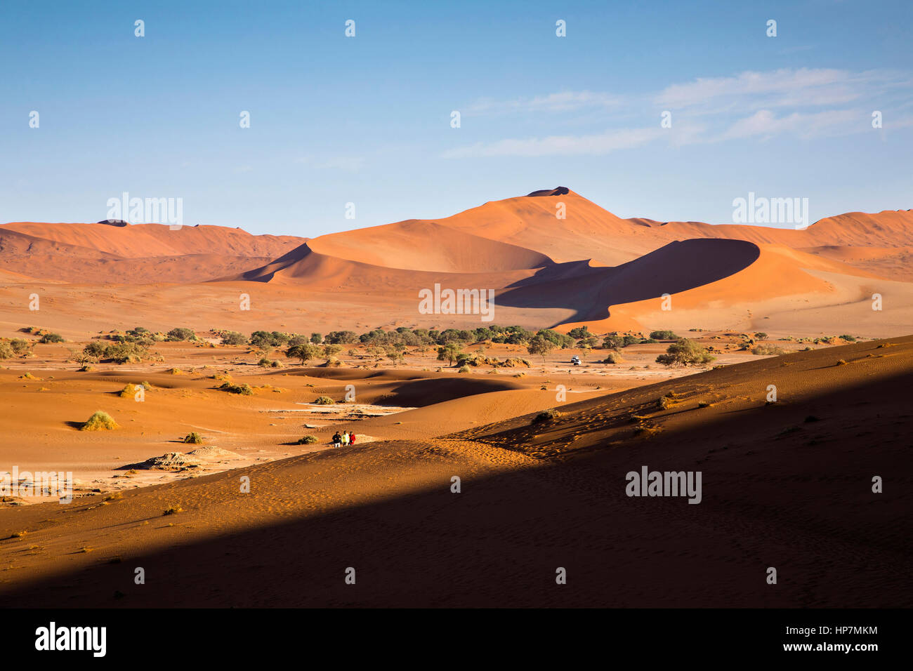 Sand Dunes, Sossusvlei, Namib Desert, Namibia, by Monika Hrdinova/Dembinsky Photo Assoc Stock Photo
