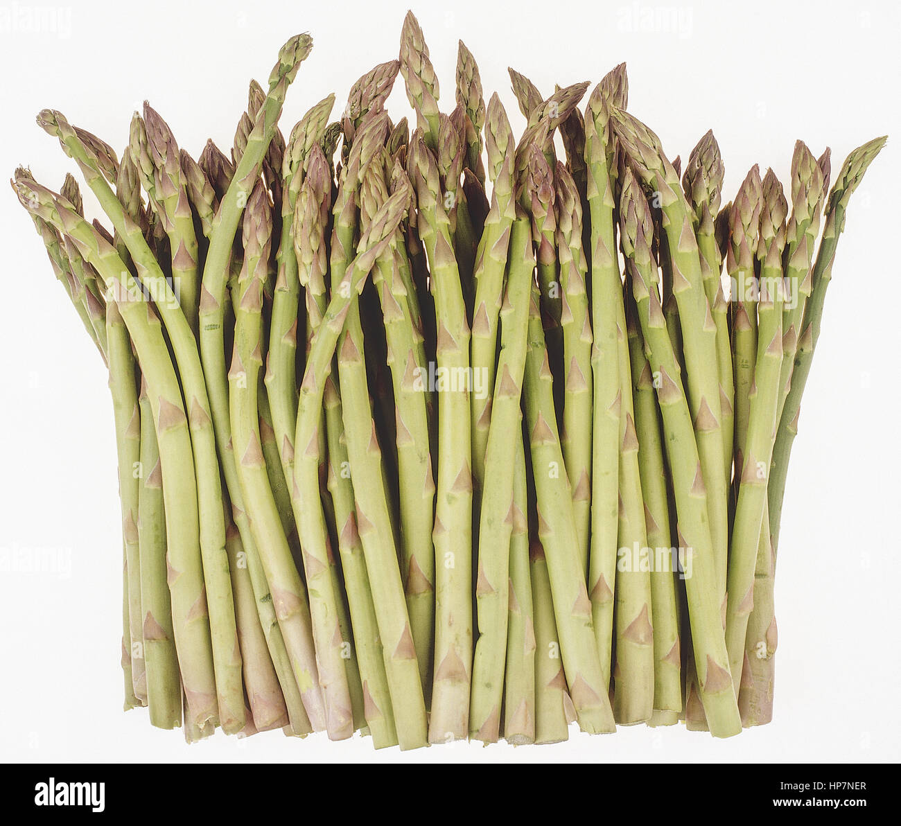 Gruener Spargel Stock Photo