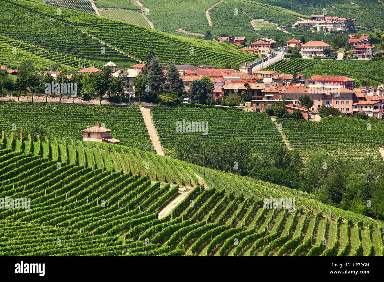 Small town among hills and green vineyards of Piedmont, Northern Italy. Stock Photo