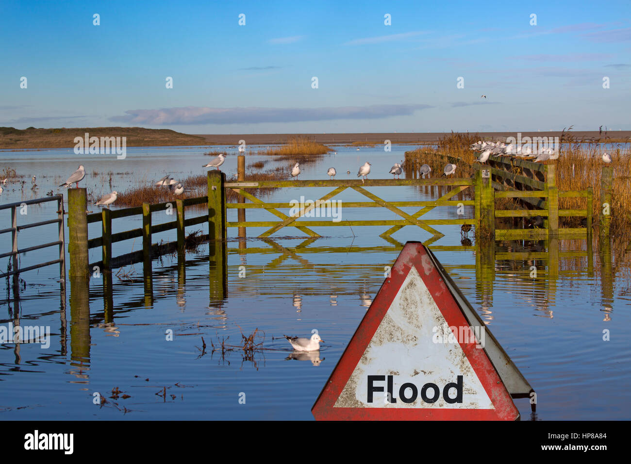 Salthouse Coast road and marshes flooded  after tidal surge North Norfolk Stock Photo