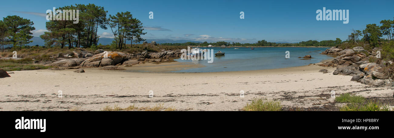 Among pine trees and boats on the beach in Isla de Arosa Stock Photo