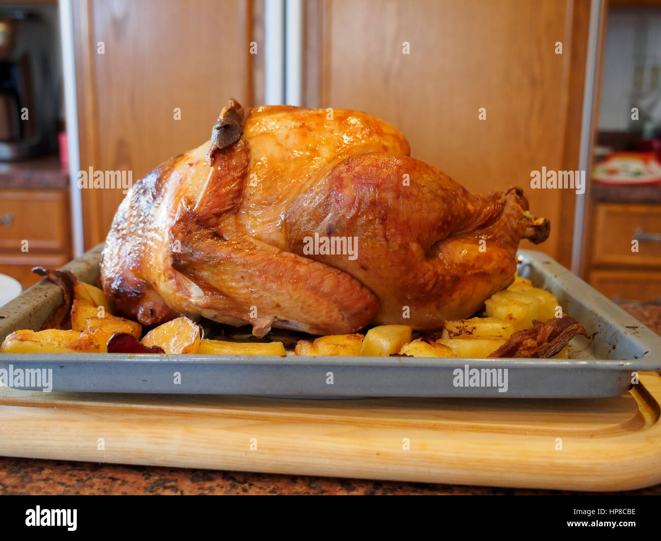 Roast turkey in a pan with potatoes Stock Photo