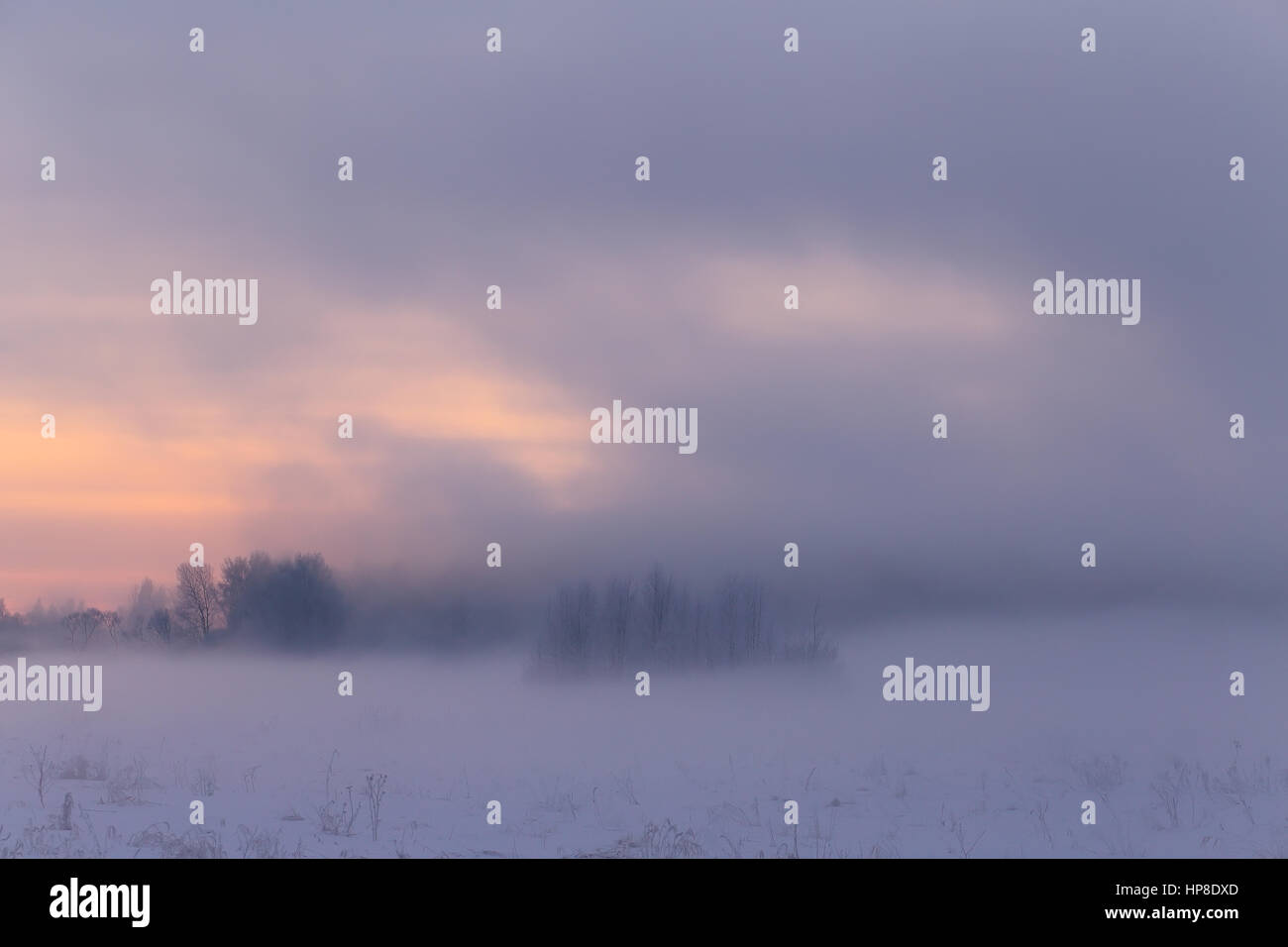 White fog in winter morning. Mist over white snow. Trees with hoarfrost in mist. Foggy winter landscape. Misty winter background. Stock Photo