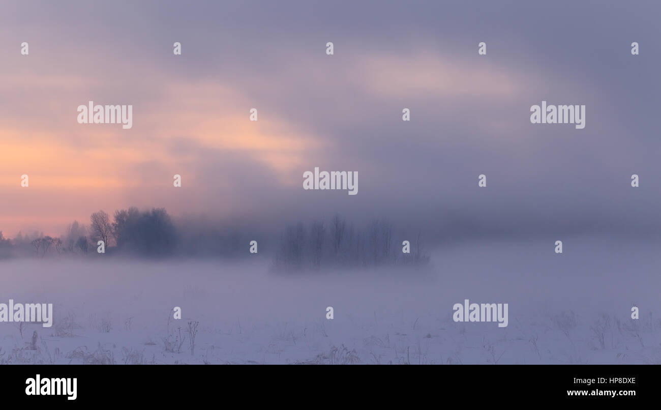 White mist in winter morning. Fog above white snow. Winter trees with hoarfrost in fog. Misty winter landscape. Foggy winter background. Stock Photo