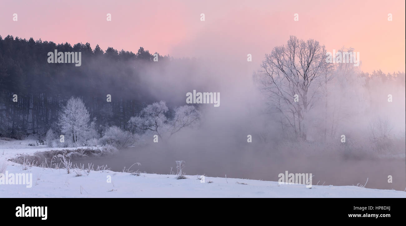 Trees with white hoarfrost in mist. Cold winter morning. White trees illuminated by rising sun. Panorama of winter dawn. Stock Photo
