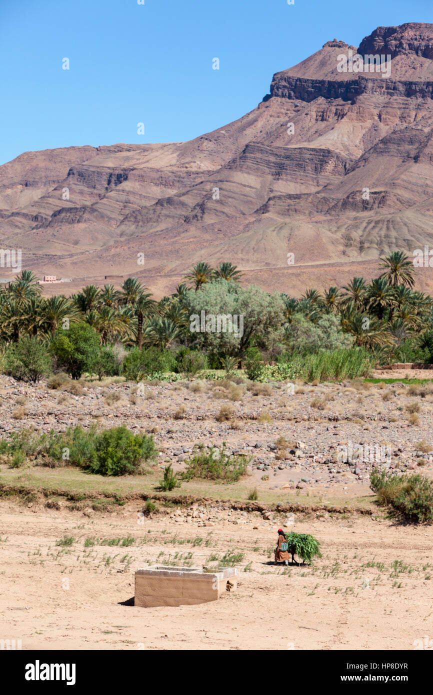 Draa River Valley Scene, Morocco. Stock Photo