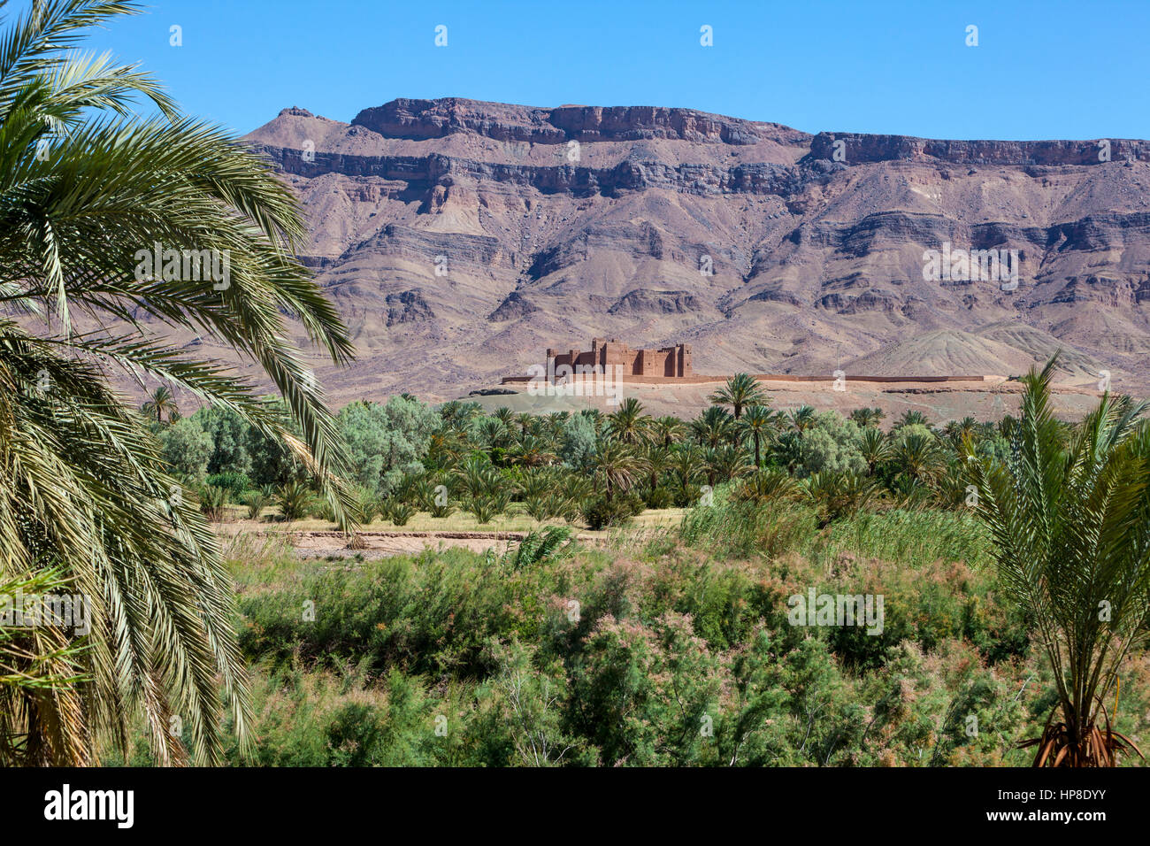 Draa River Valley Scene, Morocco.  Ksar (Kasbah) Tamnougalt, near Agdz. Stock Photo