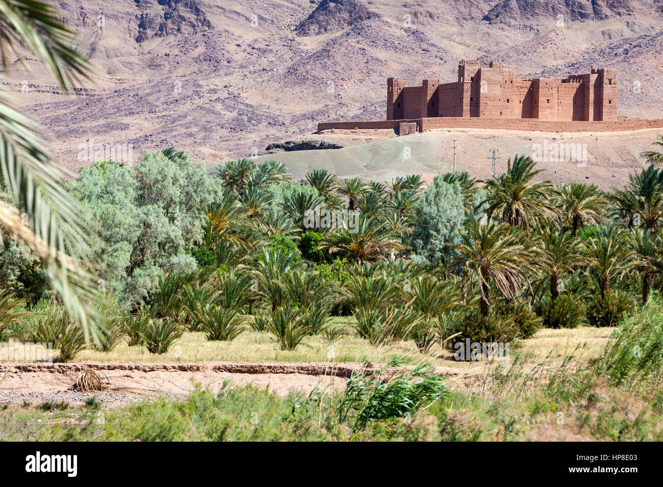 Draa River Valley Scene, Morocco.  Ksar (Kasbah) Tamnougalt, near Agdz. Stock Photo