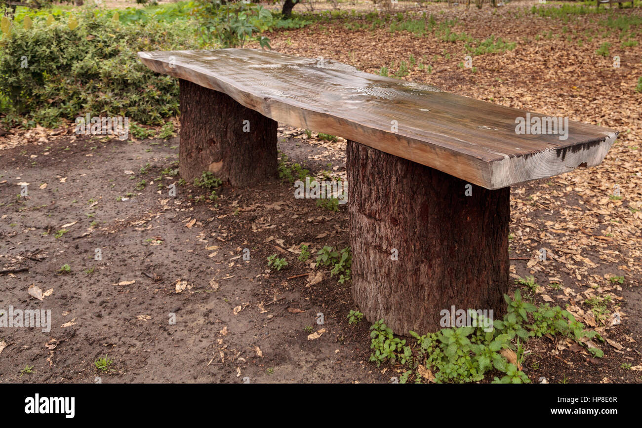 Rustic Wood Slab Picnic Table On Two Stumps In The Middle Of A