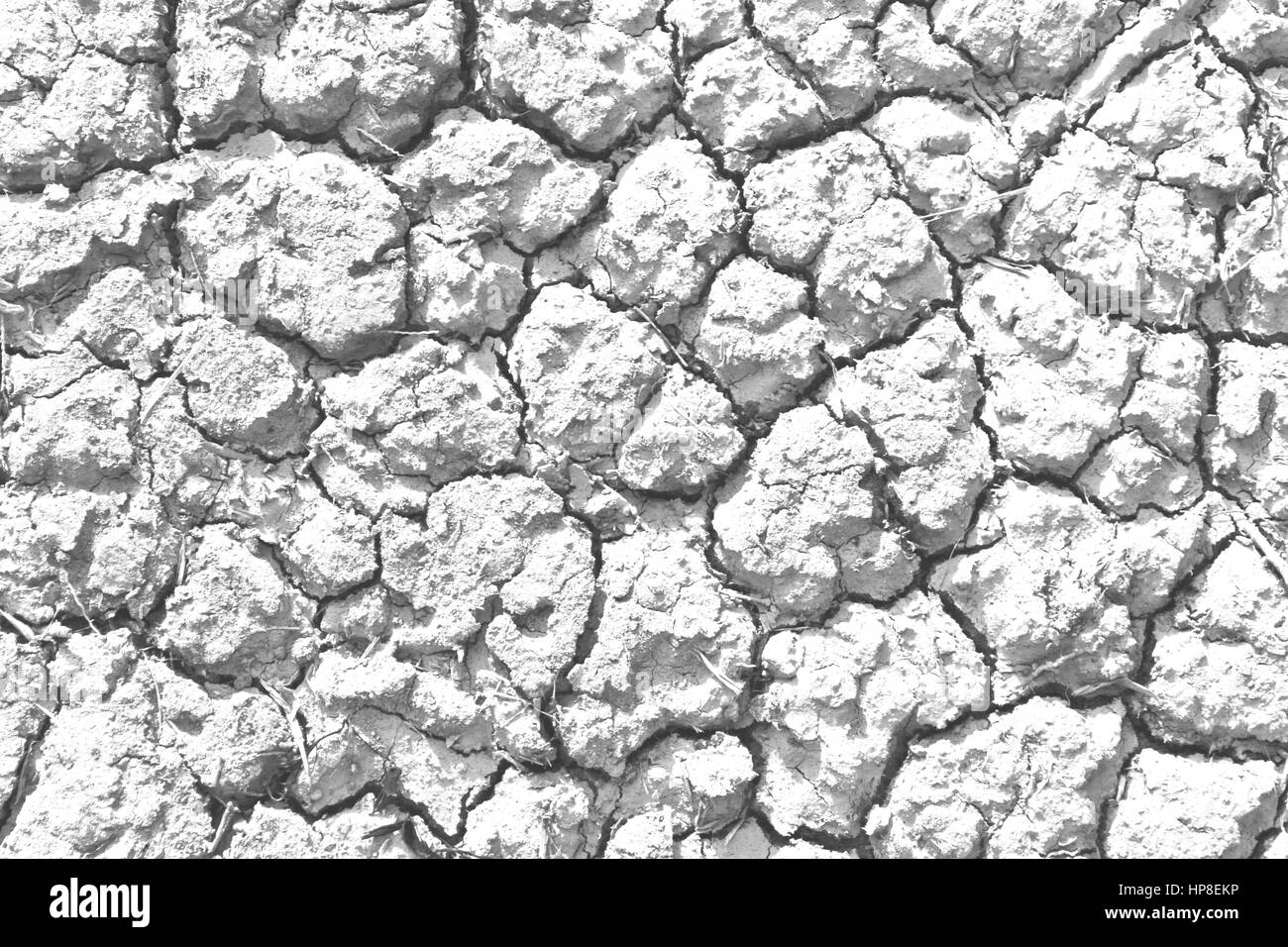 Gray cracked soil, background texture Stock Photo
