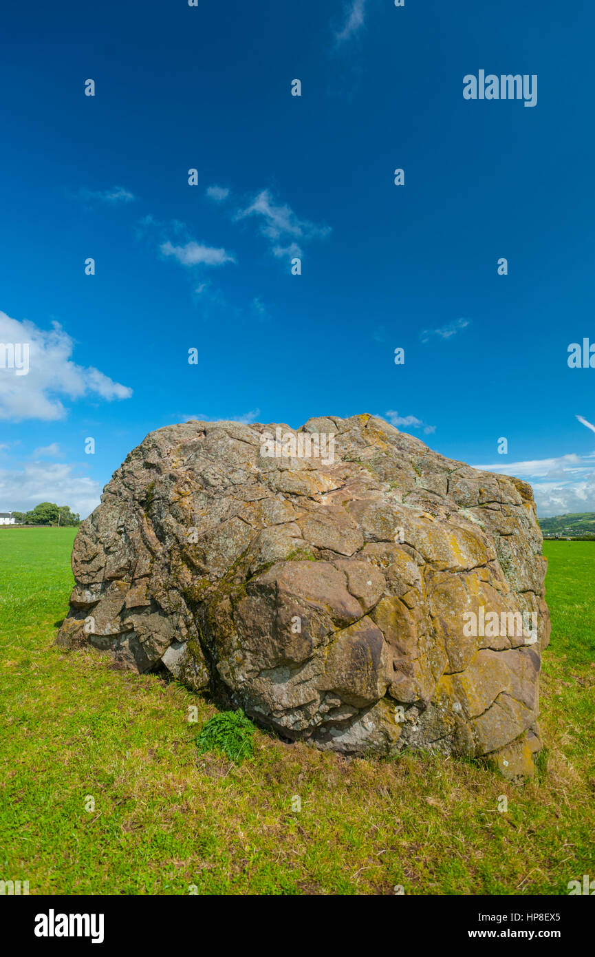 Clochroderick stone. Glacial erratic near Howwood renfrewshire Stock Photo