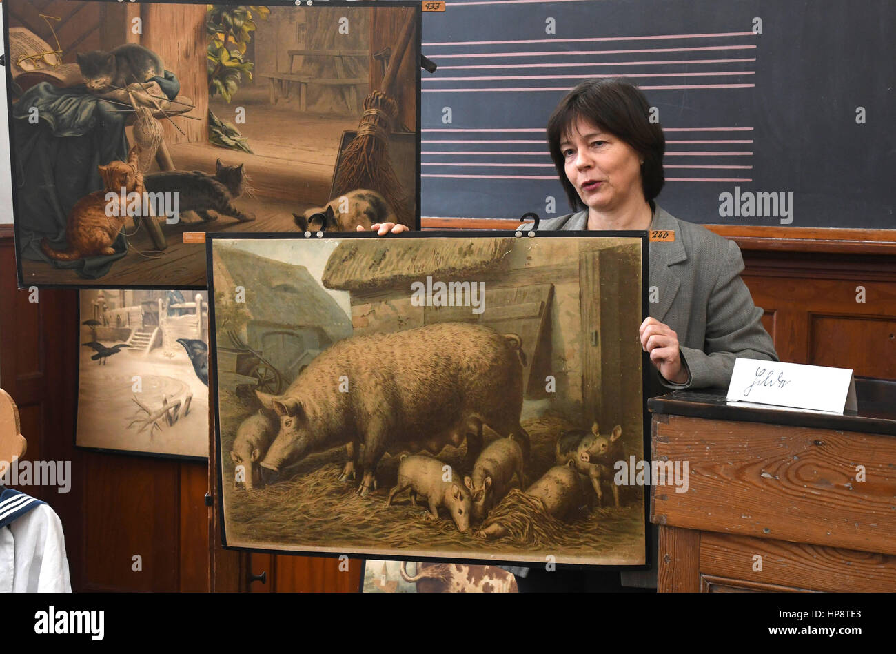 Bremen, Germany. 17th Feb, 2017. Museum director Frauke Hellwig explains a sign showing a sow and piglets at the School Museum in Bremen, Germany, 17 February 2017. Photo: Carmen Jaspersen/dpa/Alamy Live News Stock Photo