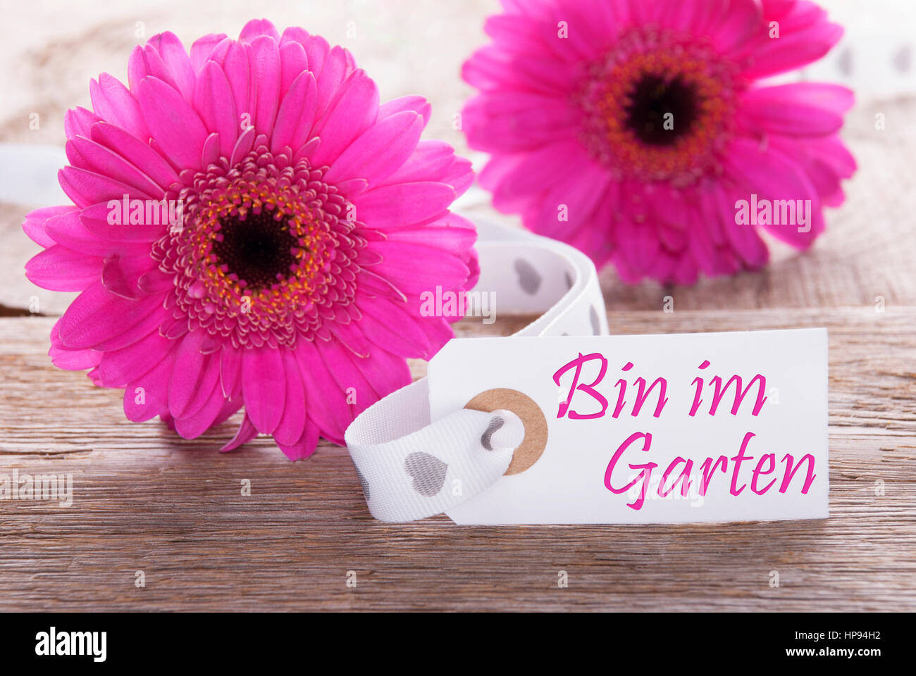 Label With German Text Bin Im Garten Means I Am In The Garden. Pink
