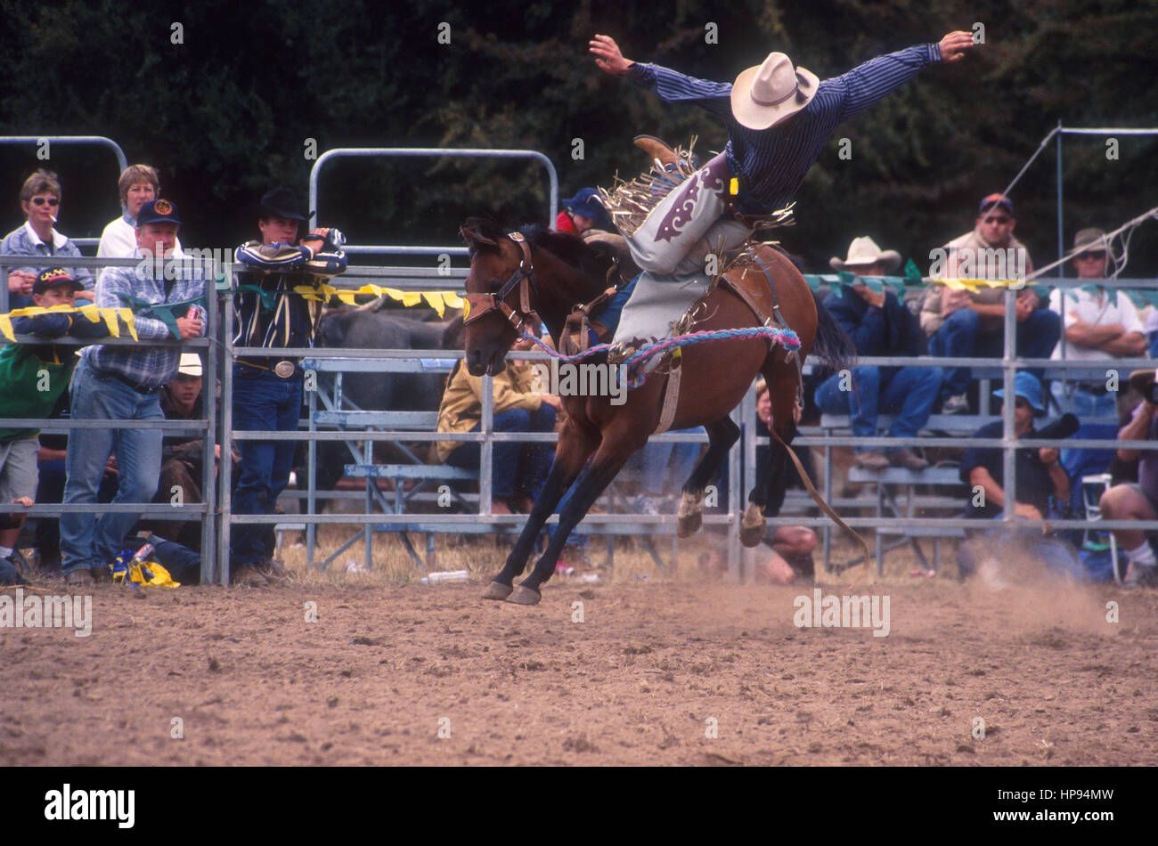 Rodeo South Australia 2024 Brooke Violante