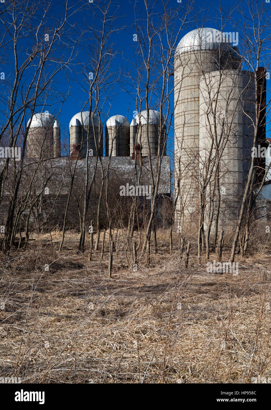 Armada Michigan Silos on an old farm Stock Photo Alamy