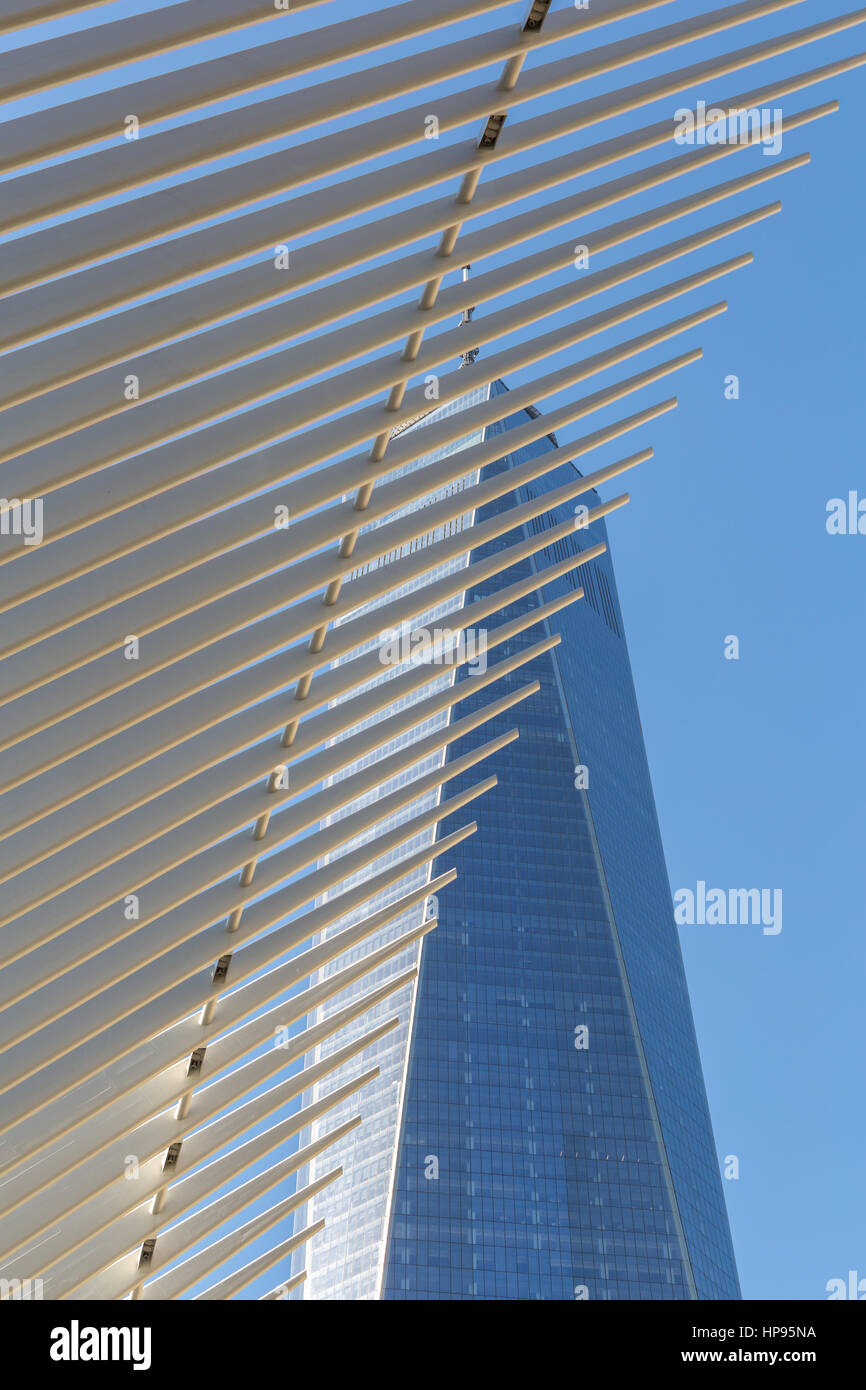 The ribbed wings of the Oculus World Trade Center Transportation Hub contrast with One World Trade Center (Freedom Tower) in New York City. Stock Photo